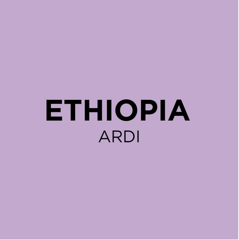 Ethiopia Ardi Sidama